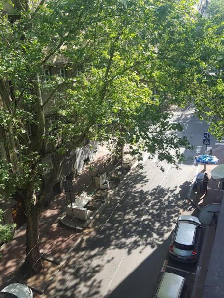 Central Spot Apartments بلغراد المظهر الخارجي الصورة